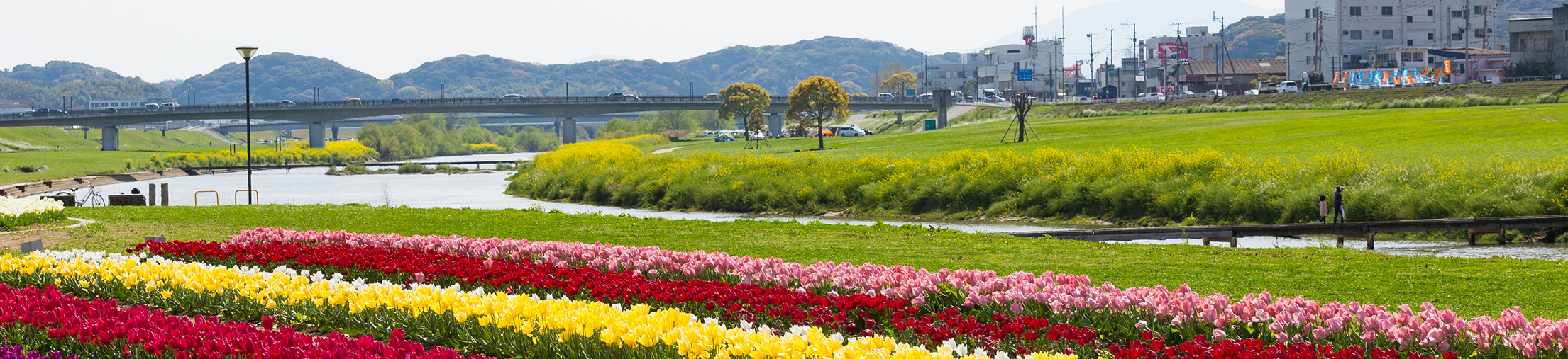 温故会グループ